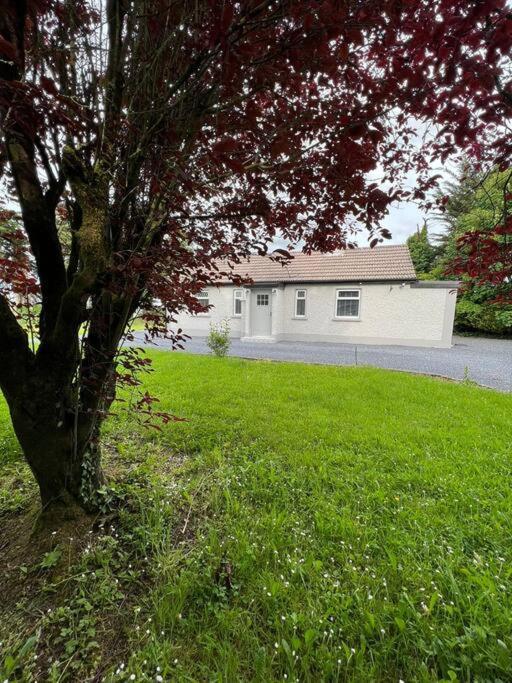 Ballybur Cottage كيلكيني المظهر الخارجي الصورة